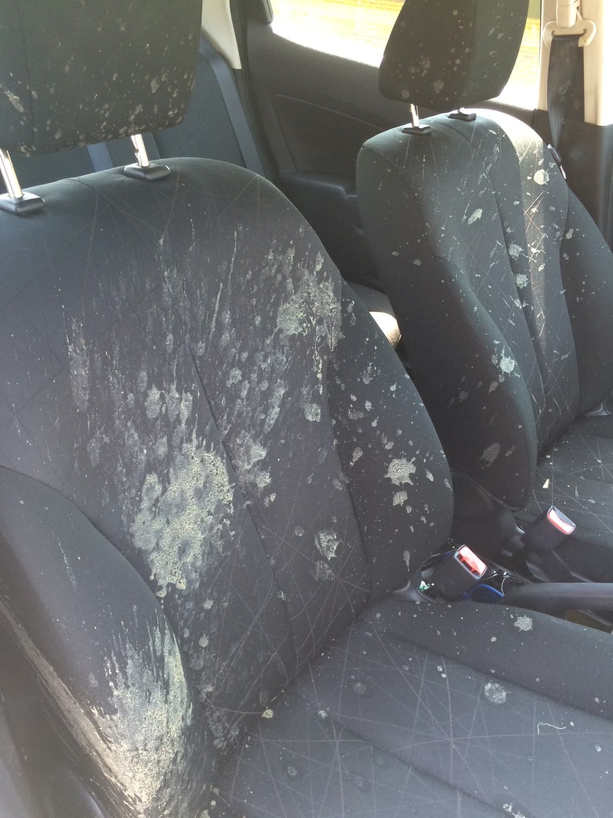 Interior Deep Clean before